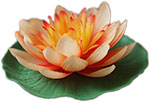 Blüte